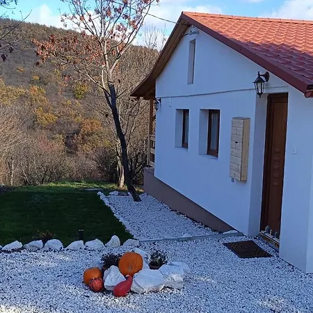 Hilltop In Szentendre, Mountain View, Terrace, Garden * Сентендре