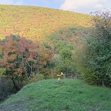 Дом отдыха Hilltop In Szentendre, Mountain View, Terrace, Garden Сентендре