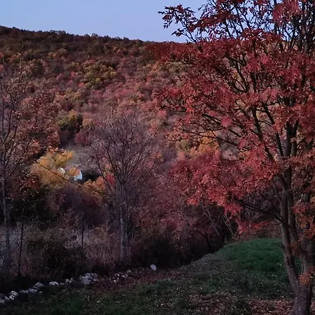 Hilltop In Szentendre, Mountain View, Terrace, Garden Σπίτι διακοπών Szentendre