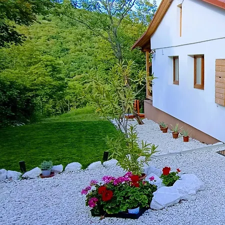 Hilltop In Szentendre, Mountain View, Terrace, Garden * Szentendre