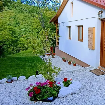 Prázdninový dům Hilltop In Szentendre, Mountain View, Terrace, Garden *
