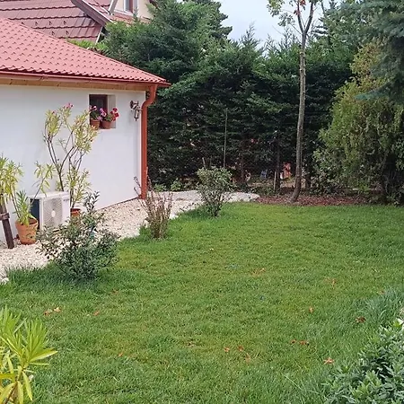 Hilltop In Szentendre, Mountain View, Terrace, Garden * Szentendre