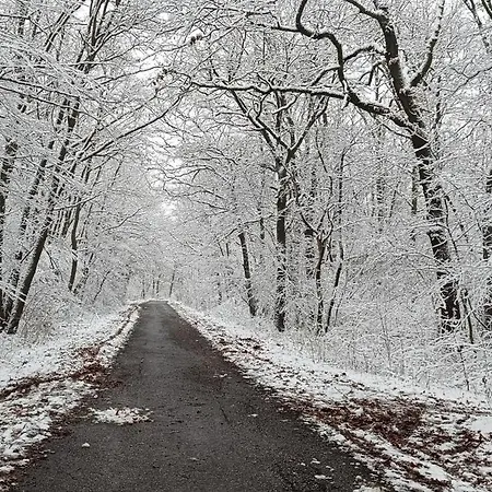 Hilltop In Szentendre, Mountain View, Terrace, Garden בית נופש סנטאנדרה