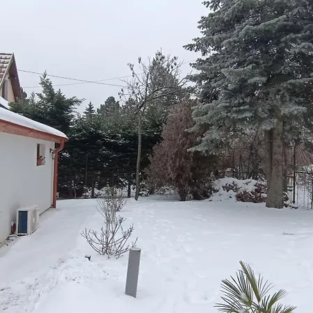 Hilltop In Szentendre, Mountain View, Terrace, Garden بيت للعطل سنتيندري